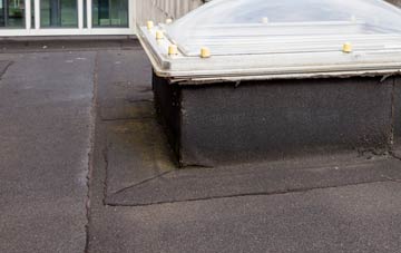 disadvantages of Hunters Forstal flat roofs
