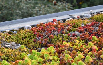 the cost of Hunters Forstal green roof installation