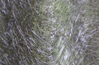 Hunters Forstal fibreglass roof work